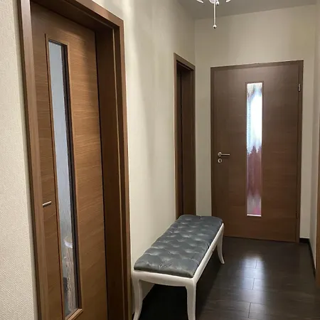 Apartament Moderne Proche Centre Colmar